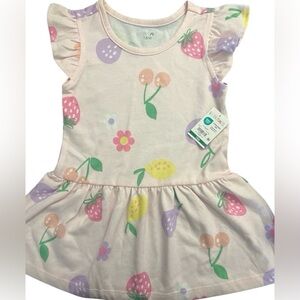 Garanimals Baby Girls' Fruit Print Ruffle Sleeve Dress - Size 18M